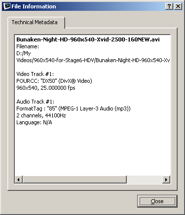 Divx Player file information